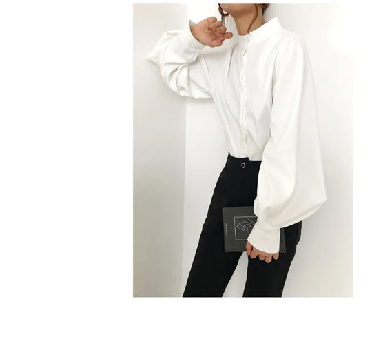 Big Lantern Sleeve Blouse Women